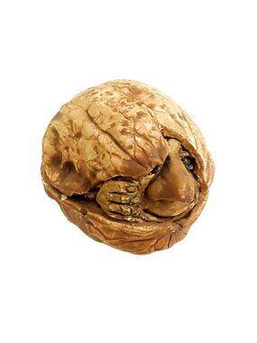 Clare craft disc world Nutcase men walnut figurines England Fantasy Troll